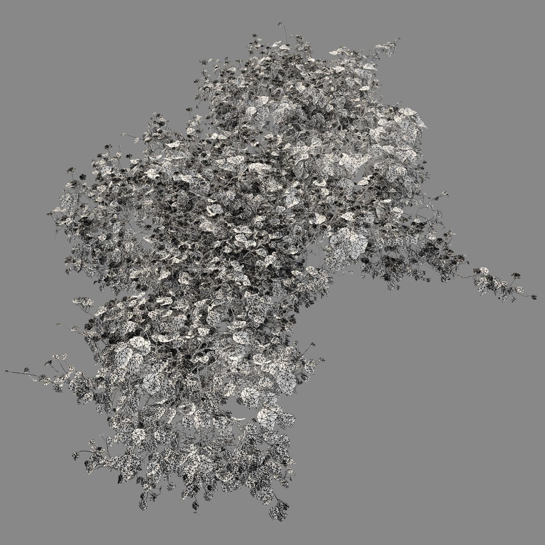 Flowering Creeper 3D Model – PBR Textured Plant Asset, FBX - View 6