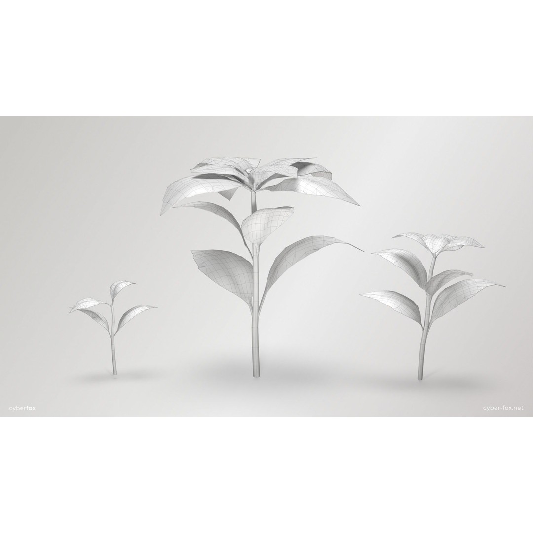 Basil Pot Plant 3D Model – Low Poly Game Ready Asset, FBX, OBJ