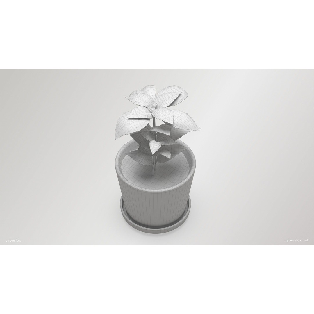 Basil Pot Plant 3D Model – Low Poly Game Ready Asset, FBX, OBJ - View 10