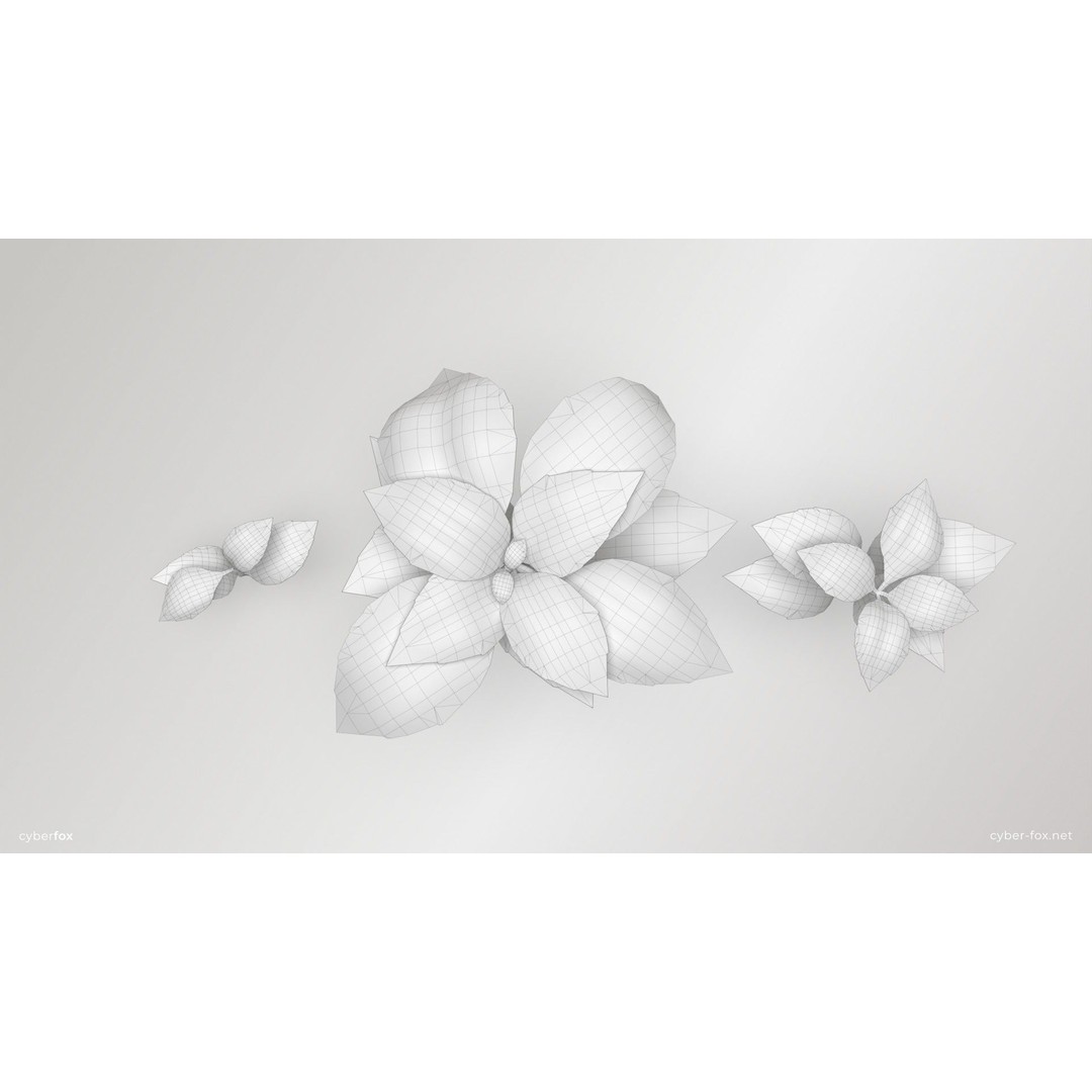 Basil Pot Plant 3D Model – Low Poly Game Ready Asset, FBX, OBJ - View 12