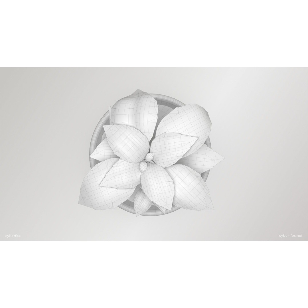 Basil Pot Plant 3D Model – Low Poly Game Ready Asset, FBX, OBJ - View 8