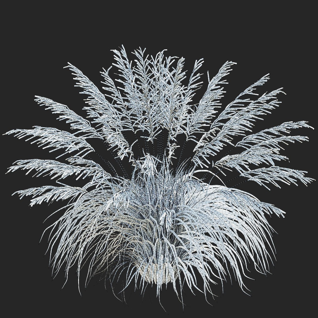 Molinia Arundinacea 3D Model – High Poly Ornamental Grass, FBX & OBJ - View 7