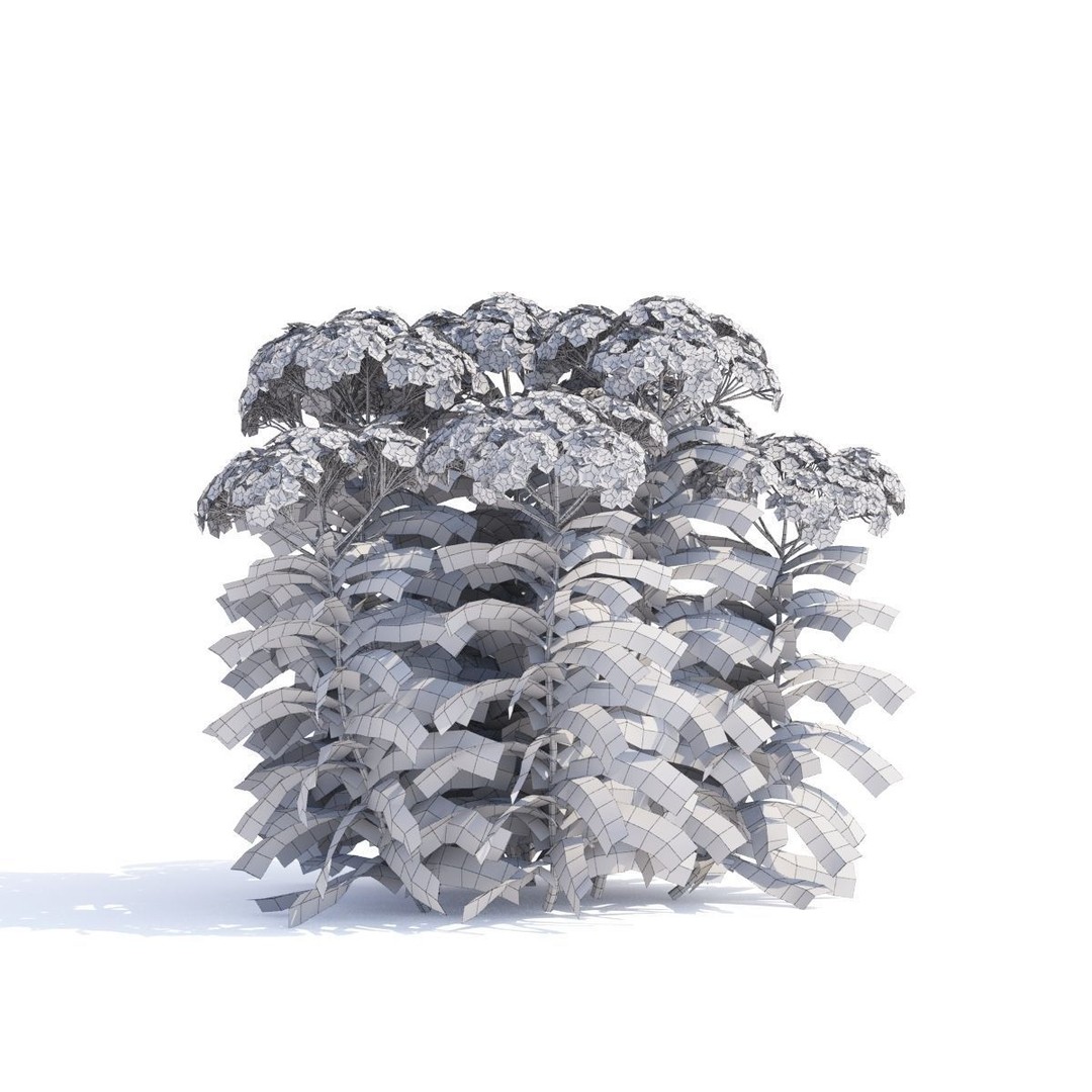 Achillea Millefolium 3D Model – High Poly Flower Asset, FBX & OBJ - View 4