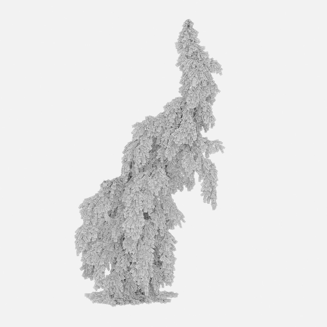 Weeping Spruce 3D Model – High Poly Plant Asset, FBX, OBJ