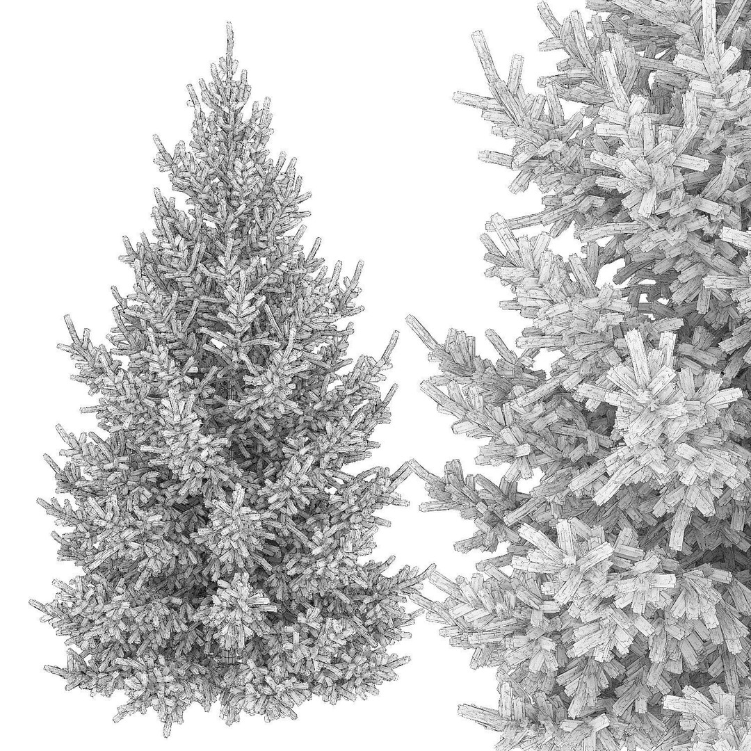 Picea Abies 3D Model – Realistic Conifer Tree Asset, FBX