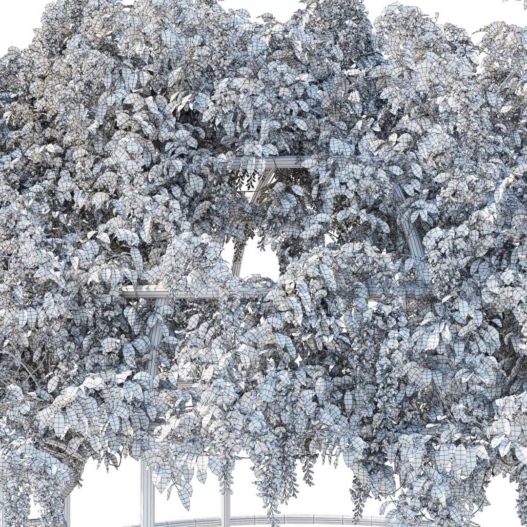 American Wisteria Vines 3D Model – High-Quality Garden Asset, FBX, Vray, Corona - View 13