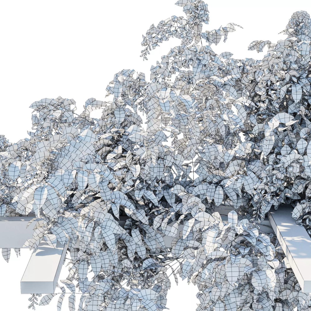 American Wisteria Vines 3D Model – High-Quality Garden Asset, FBX, Vray, Corona - View 17