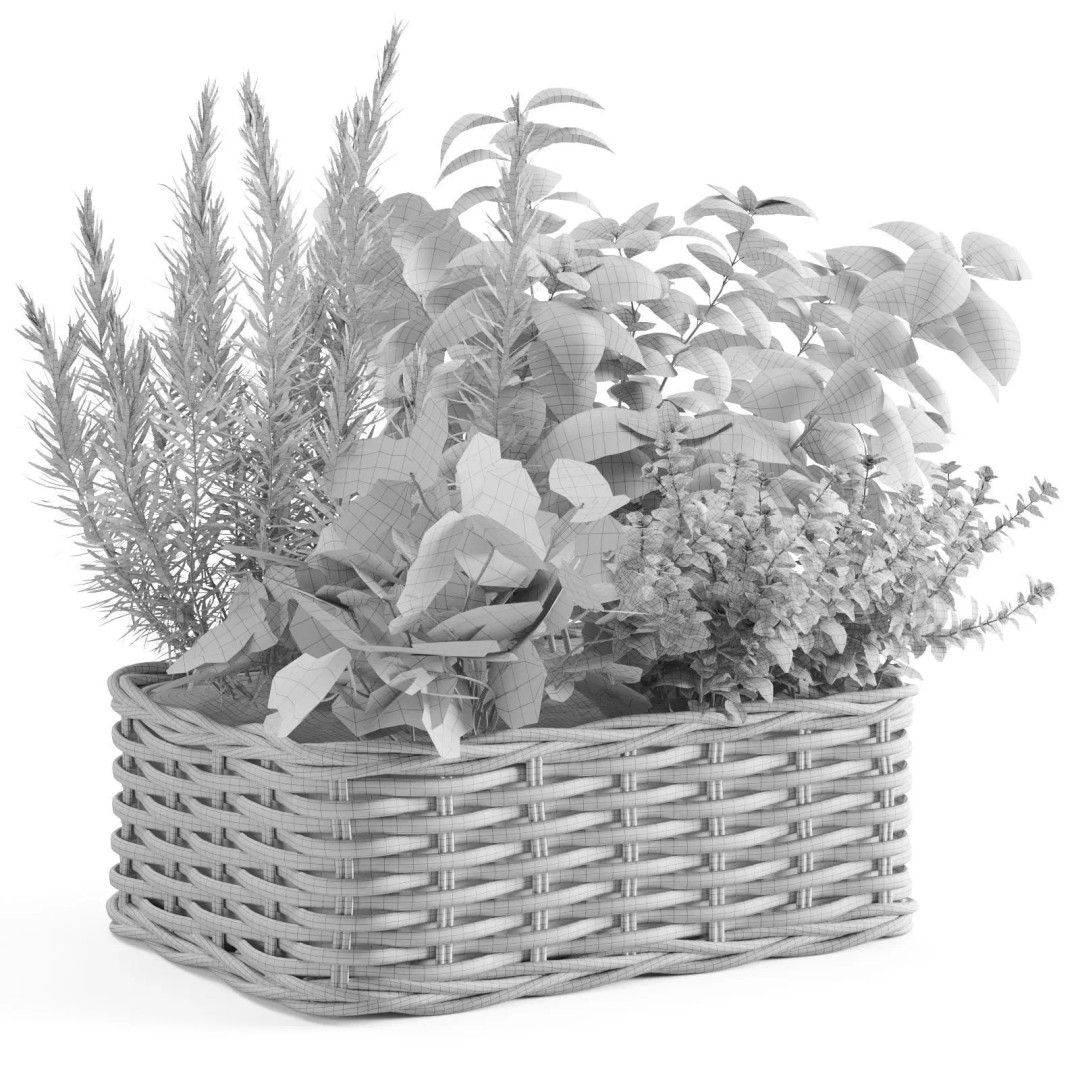 Kitchen Herbs 3D Model – Realistic Plants in Wicker Basket, FBX - View 14