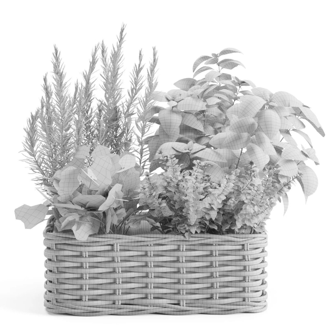 Kitchen Herbs 3D Model – Realistic Plants in Wicker Basket, FBX - View 3