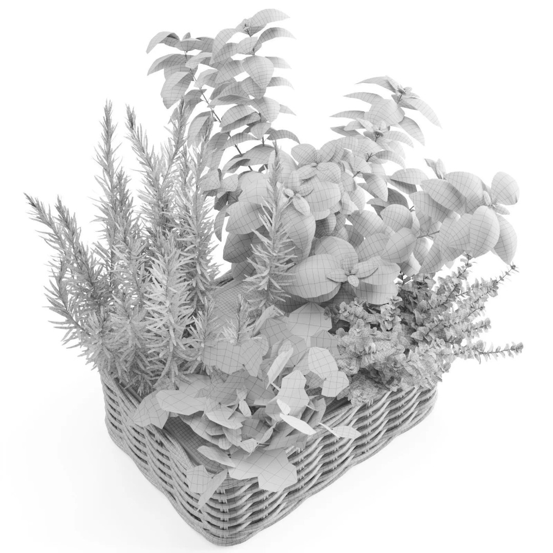 Kitchen Herbs 3D Model – Realistic Plants in Wicker Basket, FBX - View 7