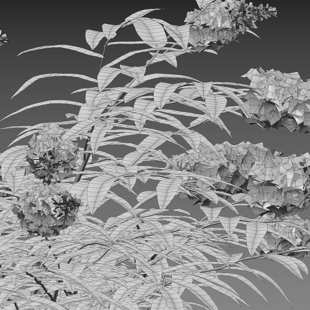 Buddleia 3D Model – Low Poly Butterfly Bush with PBR Textures - View 5