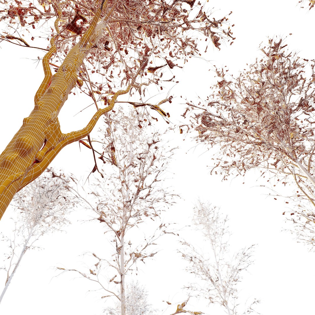 Alnus Glutinosa Winter Snow Tree Set 3D Model – PBR Game Asset, FBX, OBJ