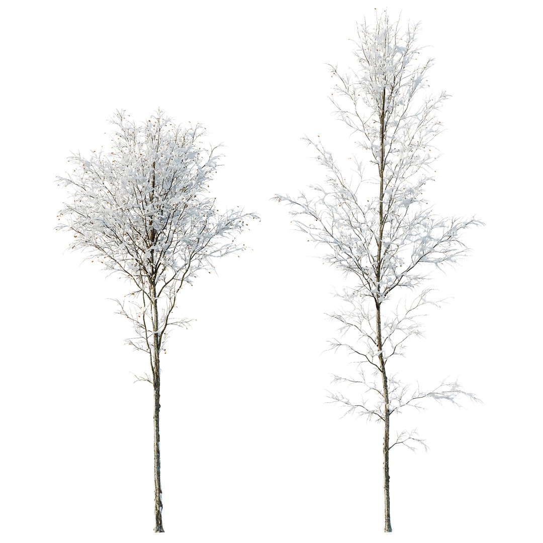 Alnus Glutinosa Winter Snow Tree Set 3D Model – PBR Game Asset, FBX, OBJ - View 6