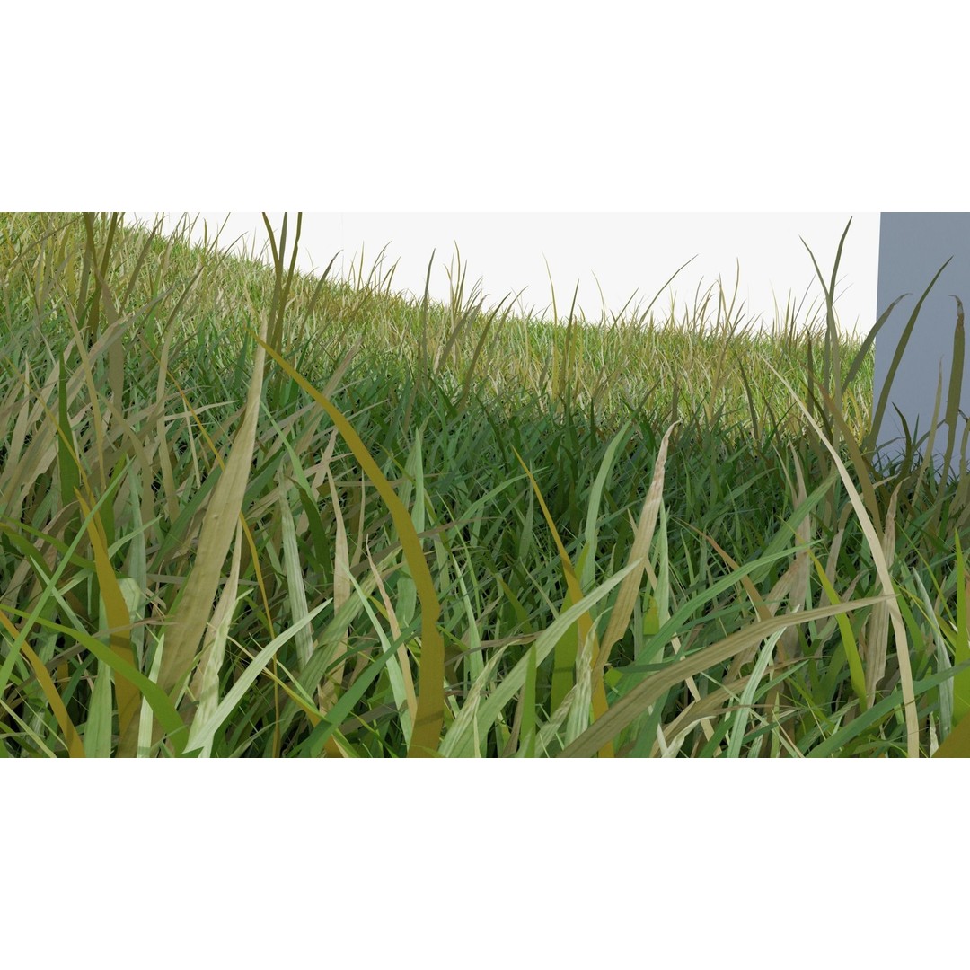 Grass Field 3D Model – Low Poly Natural Grass Asset, Blender - View 10