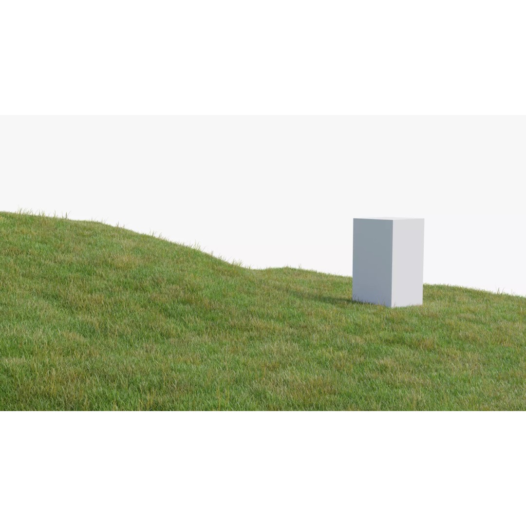 Grass Field 3D Model – Low Poly Natural Grass Asset, Blender - View 2