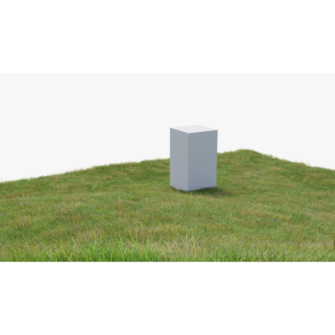 Grass Field 3D Model – Low Poly Natural Grass Asset, Blender - View 5