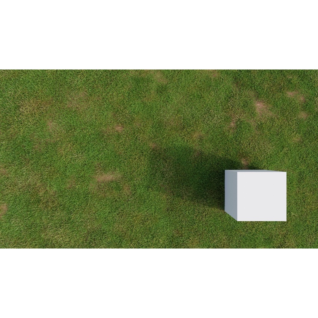Grass Field 3D Model – Low Poly Natural Grass Asset, Blender - View 8