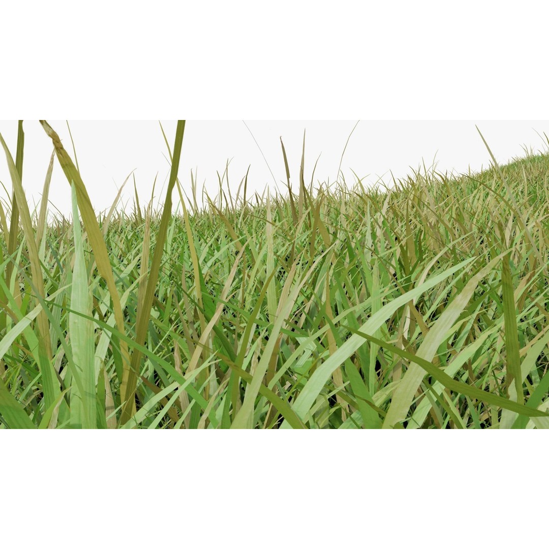 Grass Field 3D Model – Low Poly Natural Grass Asset, Blender - View 9