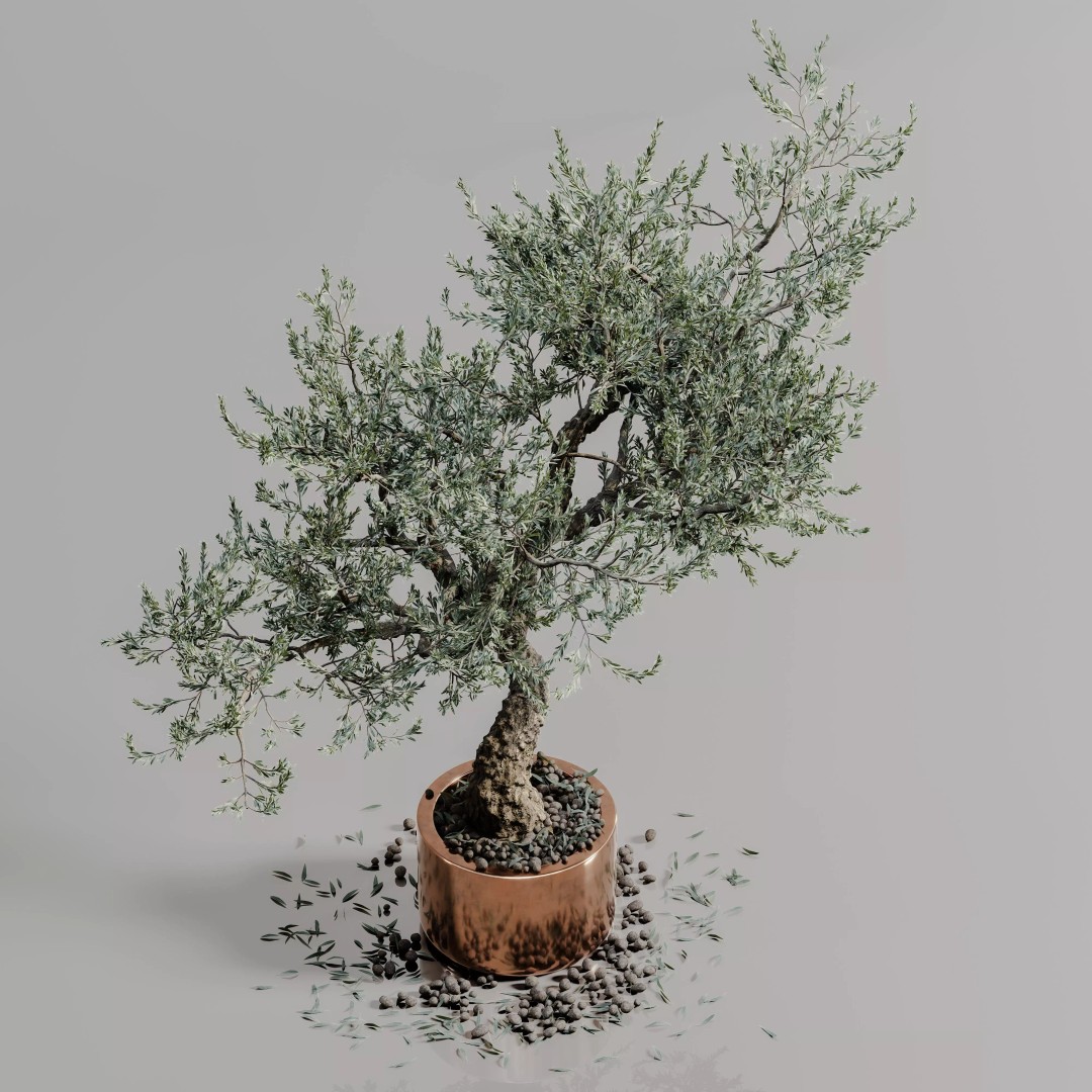 Bonsai Tree 3D Model – Realistic PBR Plant, FBX & OBJ Formats - View 5