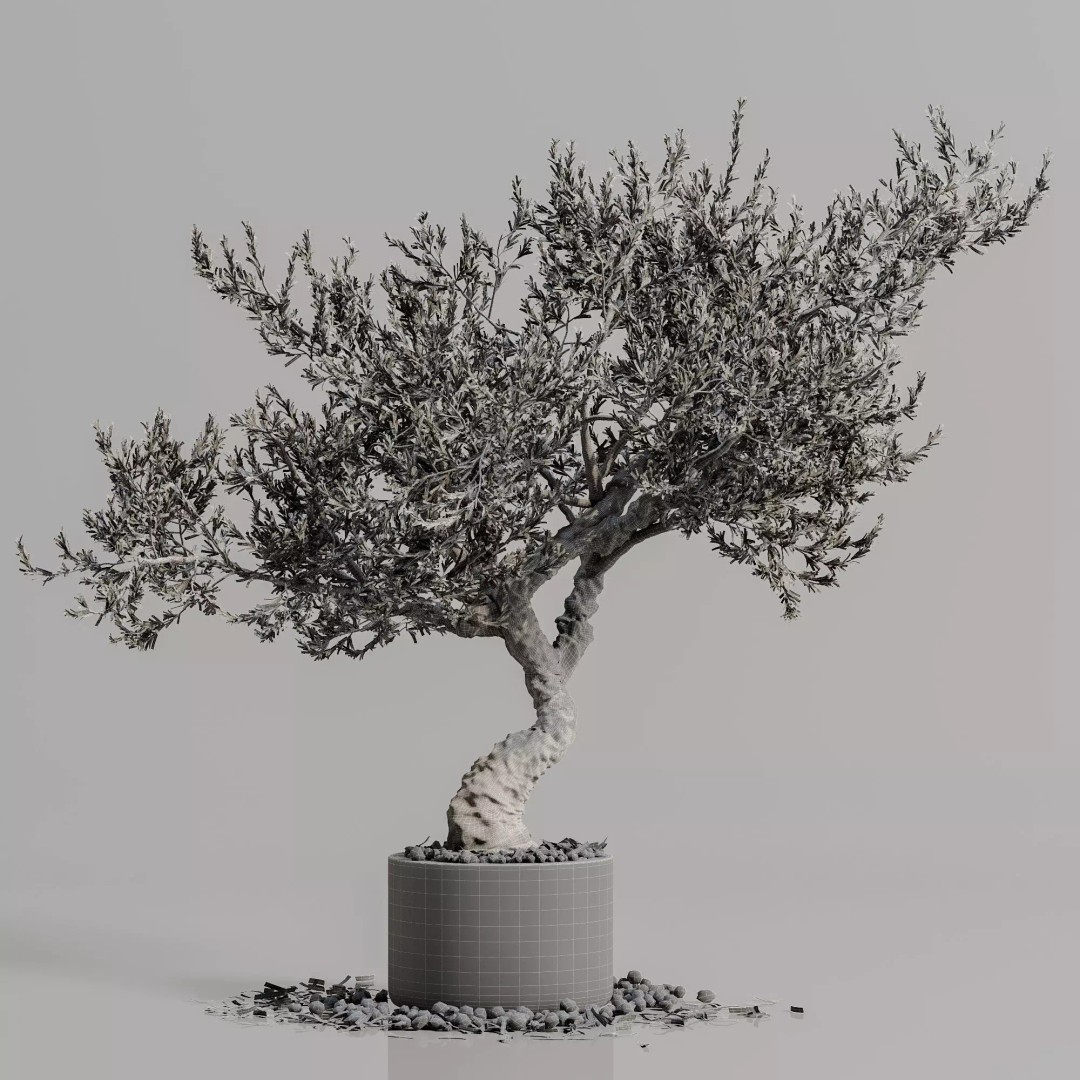 Bonsai Tree 3D Model – Realistic PBR Plant, FBX & OBJ Formats - View 6