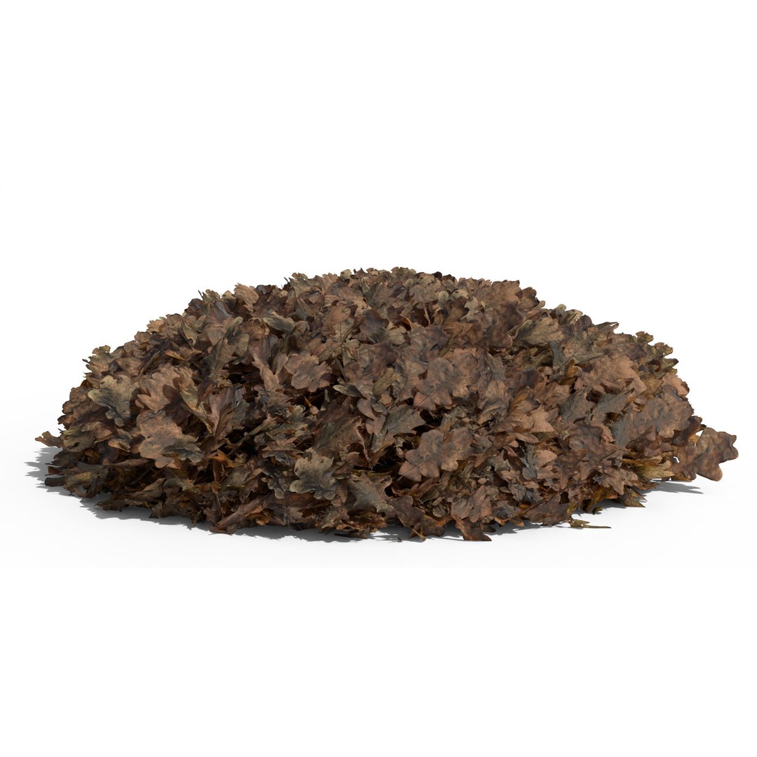 Oak Leaf Pile 3D Model – Realistic Geometry Nodes, FBX, OBJ - View 15