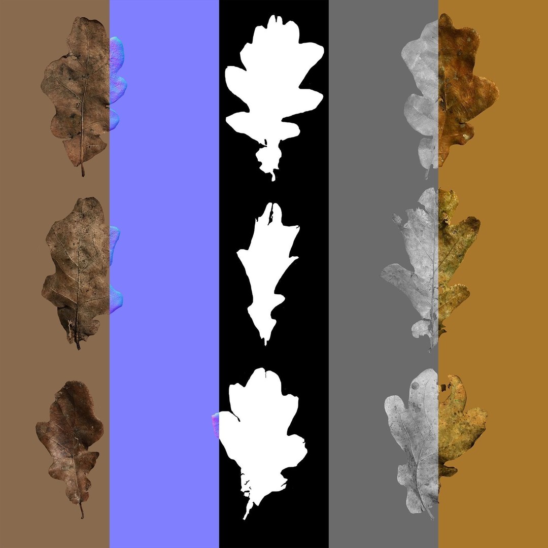 Oak Leaf Pile 3D Model – Realistic Geometry Nodes, FBX, OBJ - View 19