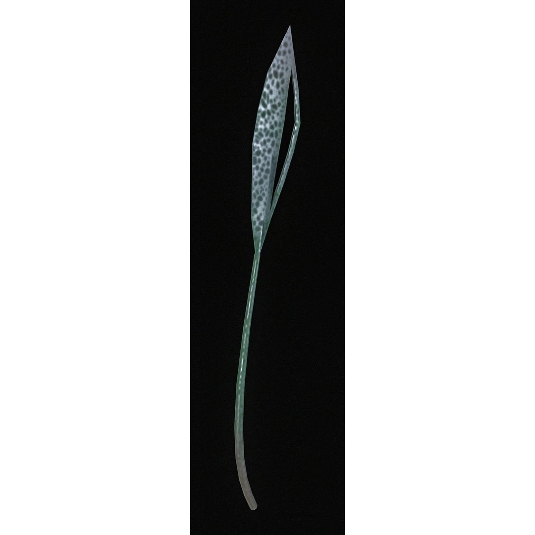 Sci-Fi Plants 3D Model – Low Poly Game Asset, PBR Textures, FBX - View 20