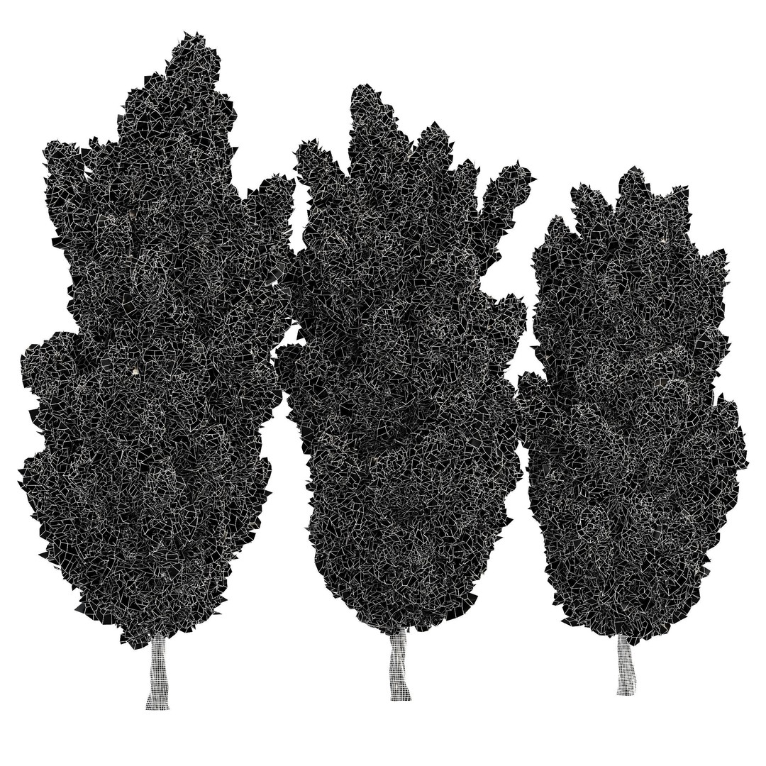 Mediterranean Cypress Tree 3D Model – High Poly PBR Asset, FBX, OBJ