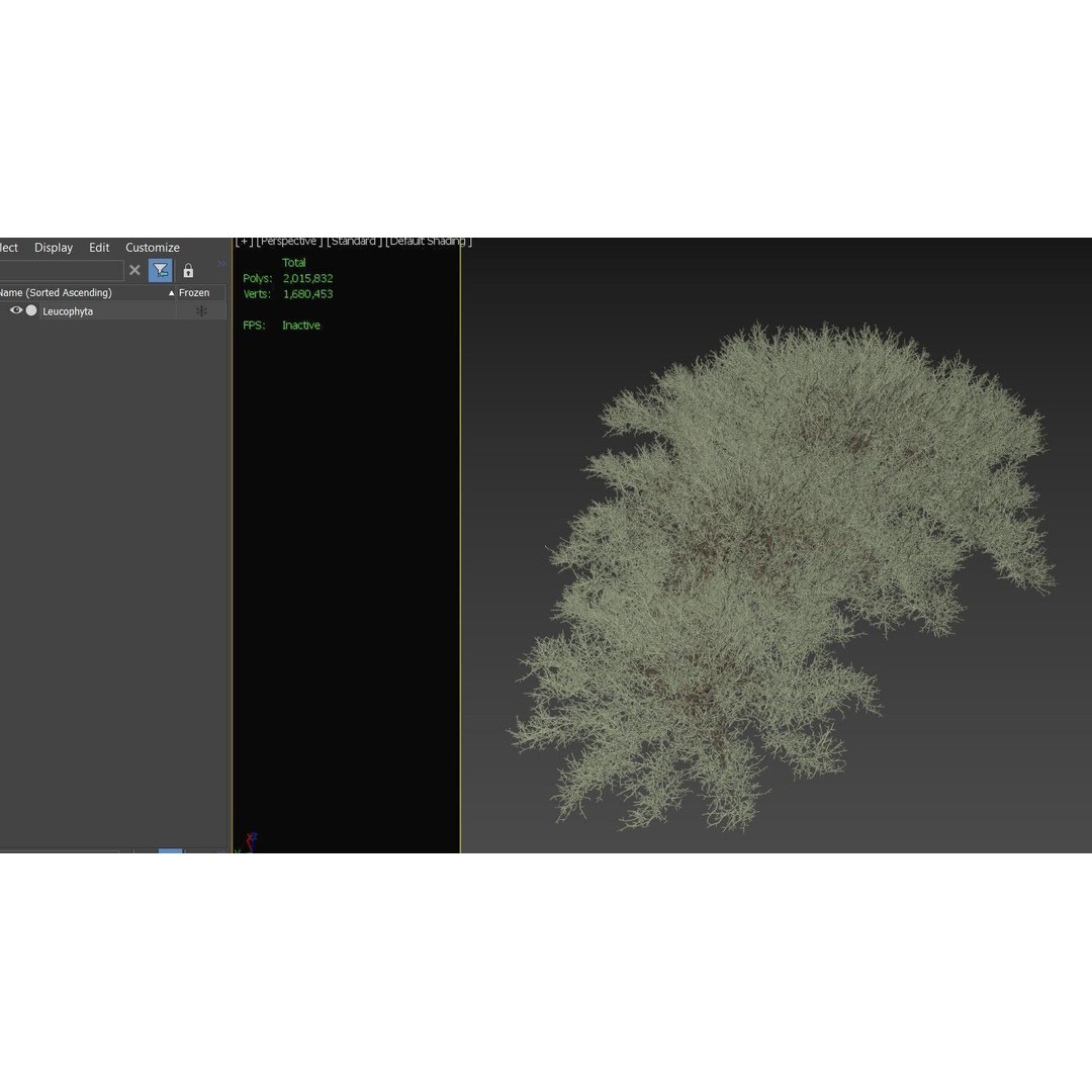 Leucophyta 3D Model – High Poly Plant Asset with Textures