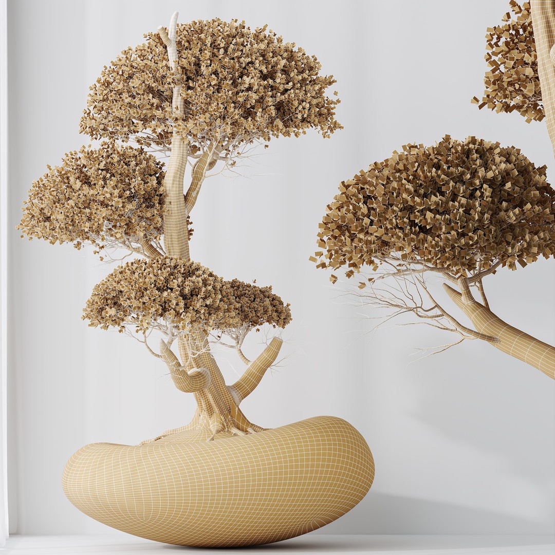 Ficus Retusa Microcarpa Bonsai 3D Model – High Poly PBR Asset, FBX & OBJ - View 8