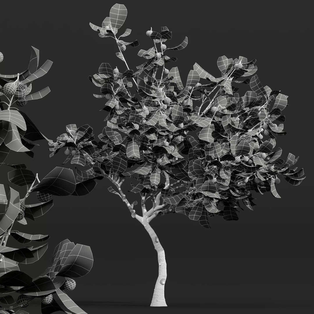 Ficus Fig and Peach Tree 3D Model – High Poly PBR Asset, OBJ, FBX