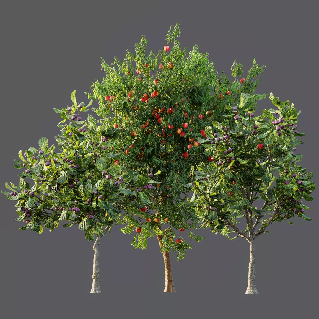 Ficus Fig and Peach Tree 3D Model – High Poly PBR Asset, OBJ, FBX - View 13