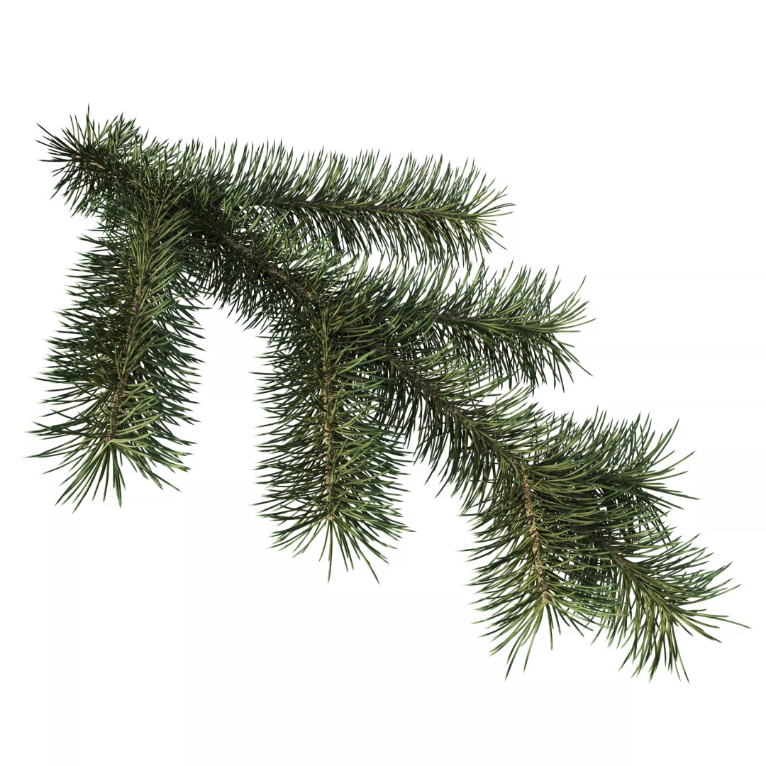 Pine Branch 3D Model – High-Quality Procedural Design for Holiday Projects - View 2