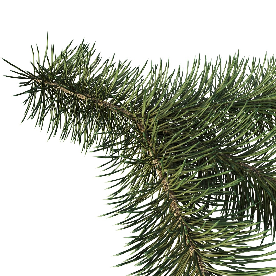 Pine Branch 3D Model – High-Quality Procedural Design for Holiday Projects - View 4