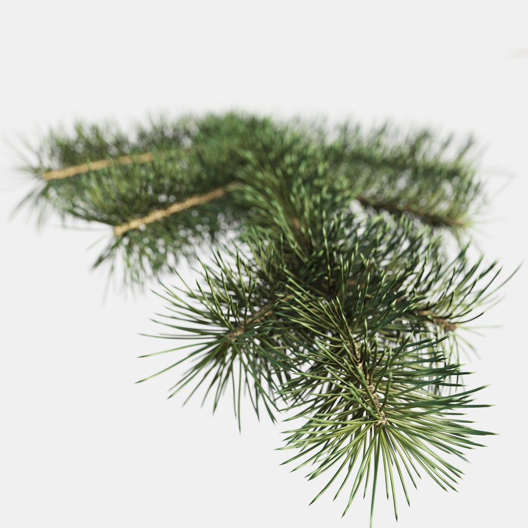 Pine Branch 3D Model – High-Quality Procedural Design for Holiday Projects - View 5