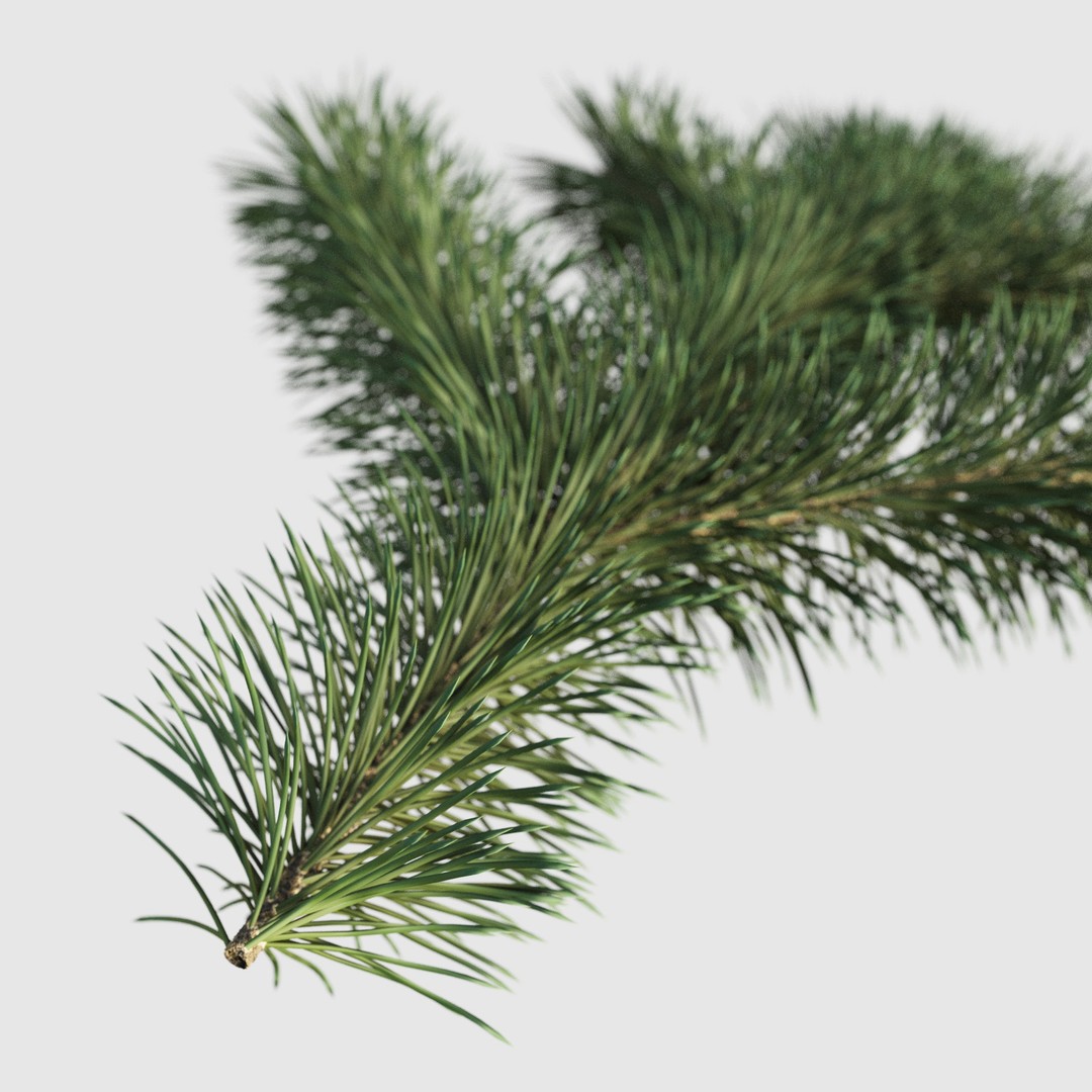 Pine Branch 3D Model – High-Quality Procedural Design for Holiday Projects - View 6
