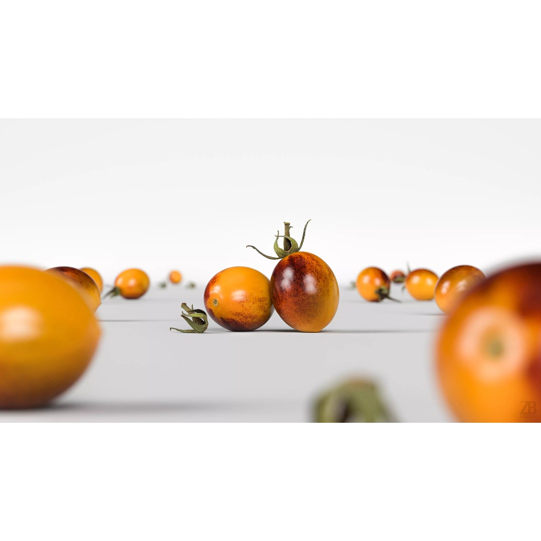Photorealistic Tomato 3D Model – High Poly PBR Asset, FBX, OBJ - View 3