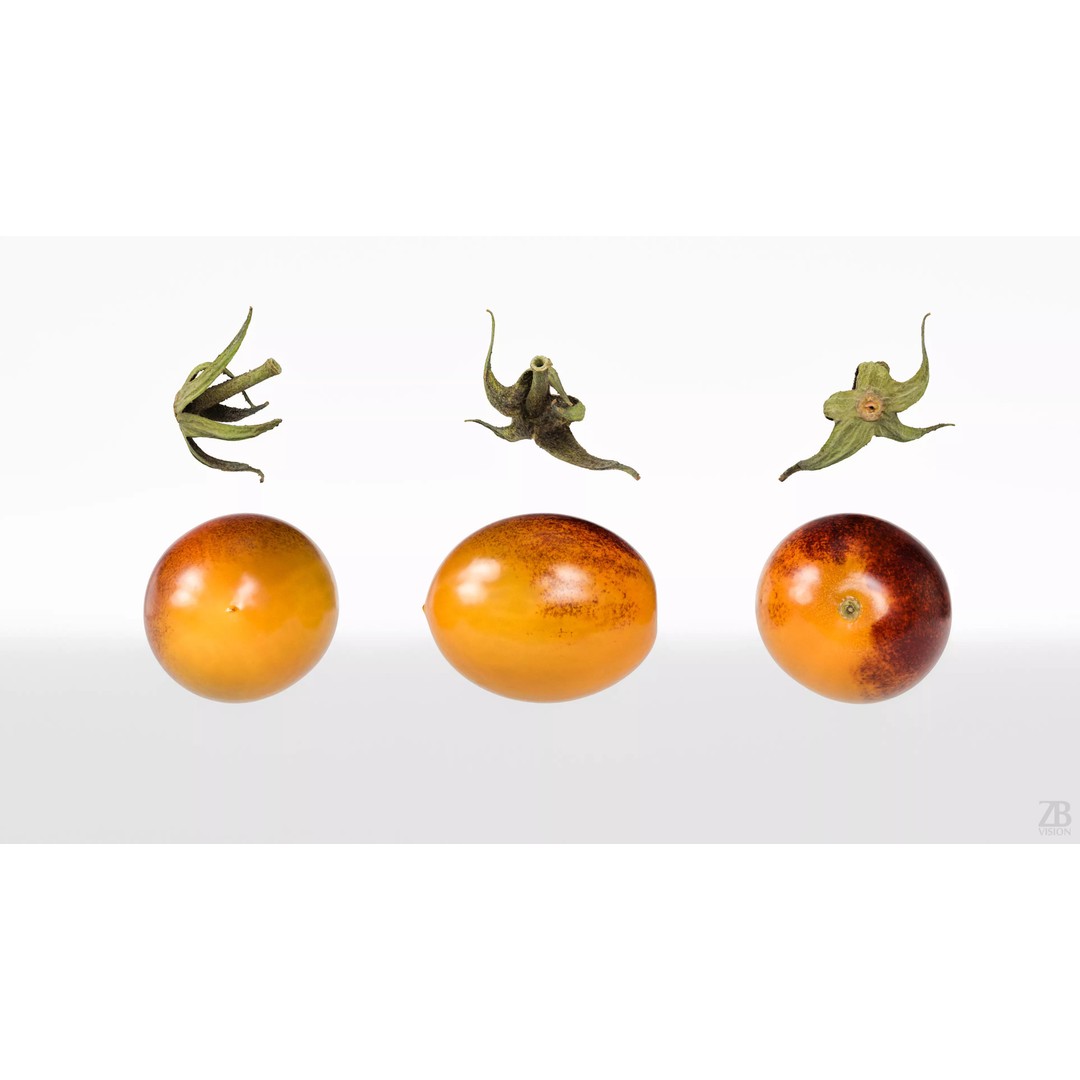Photorealistic Tomato 3D Model – High Poly PBR Asset, FBX, OBJ - View 6