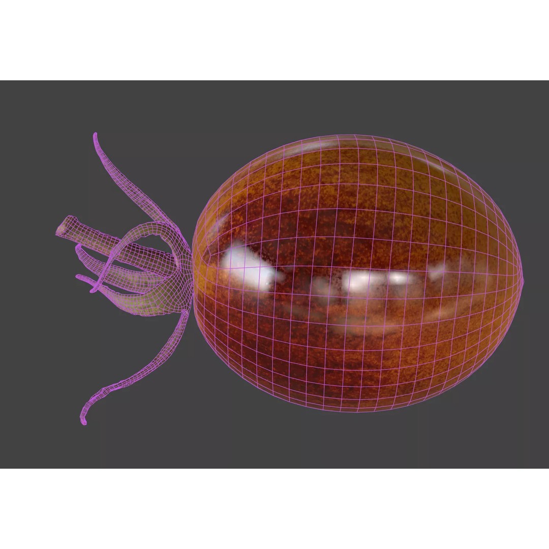 Photorealistic Tomato 3D Model – High Poly PBR Asset, FBX, OBJ - View 8