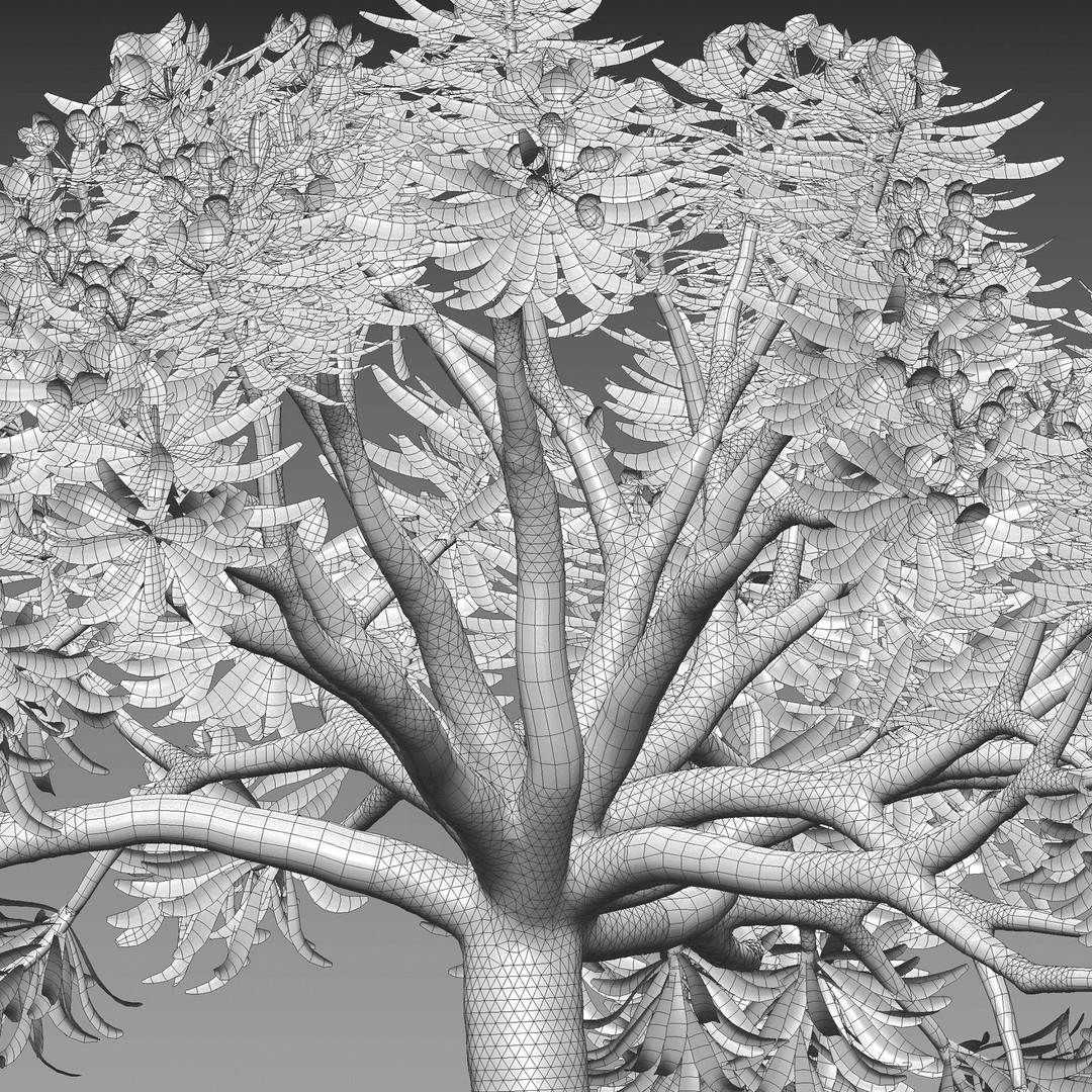 Euphorbia regis-jubae 3D Model – PBR Plant Asset, FBX Format - View 4