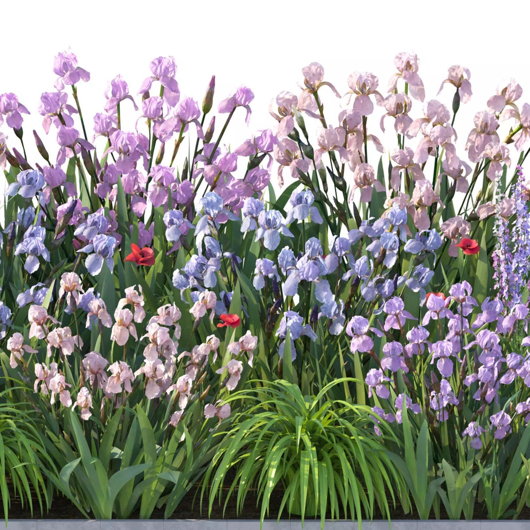 Flower Bed 3D Model – Rectangular Garden Asset with PBR Textures - View 5