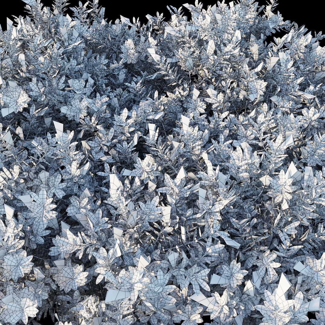 Eremophila Glabra Kalbarri Carpet 3D Model – PBR Game Asset, FBX