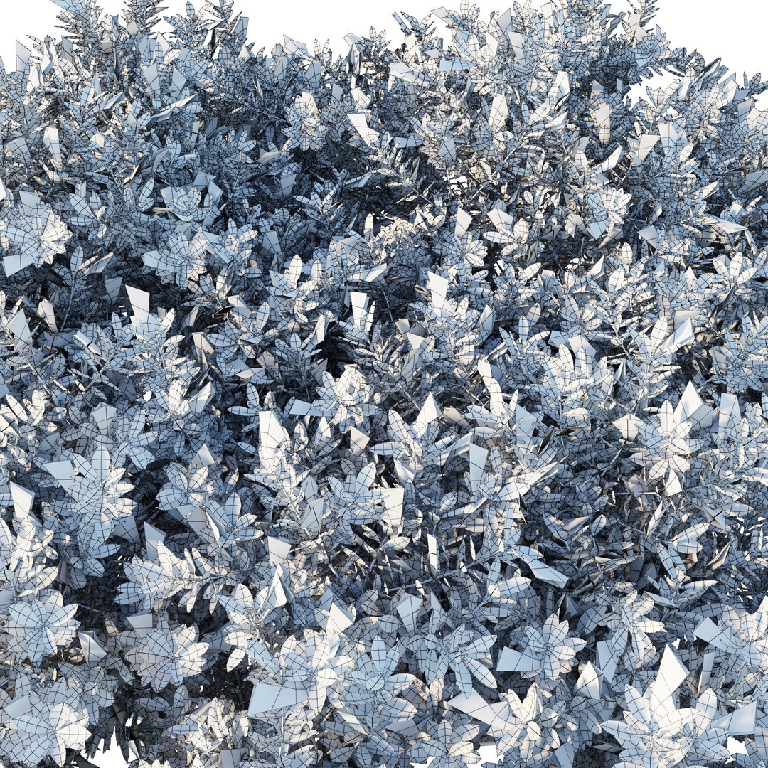Eremophila Glabra Kalbarri Carpet 3D Model – PBR Game Asset, FBX - View 5