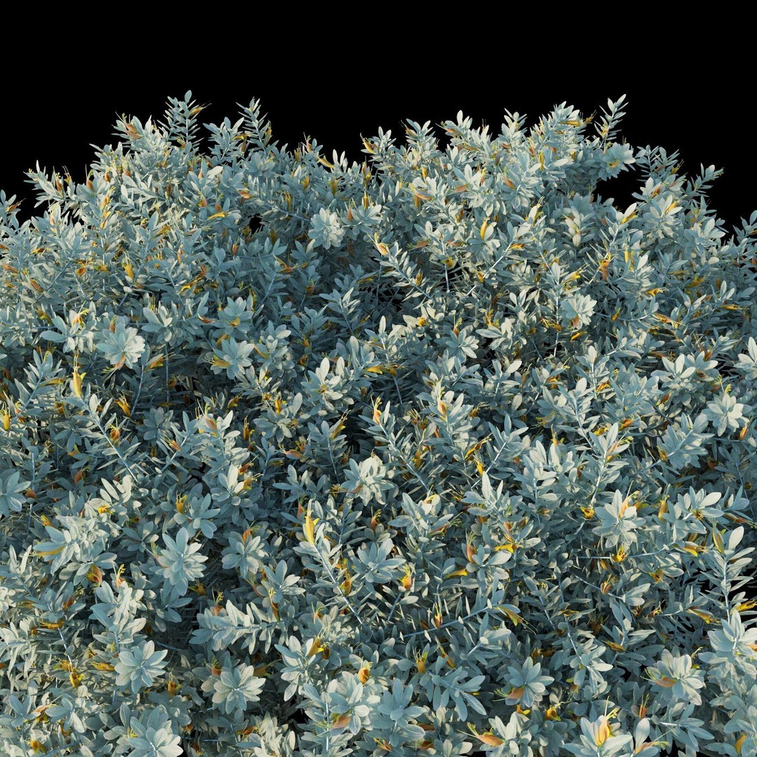 Eremophila Glabra Kalbarri Carpet 3D Model – PBR Game Asset, FBX - View 8