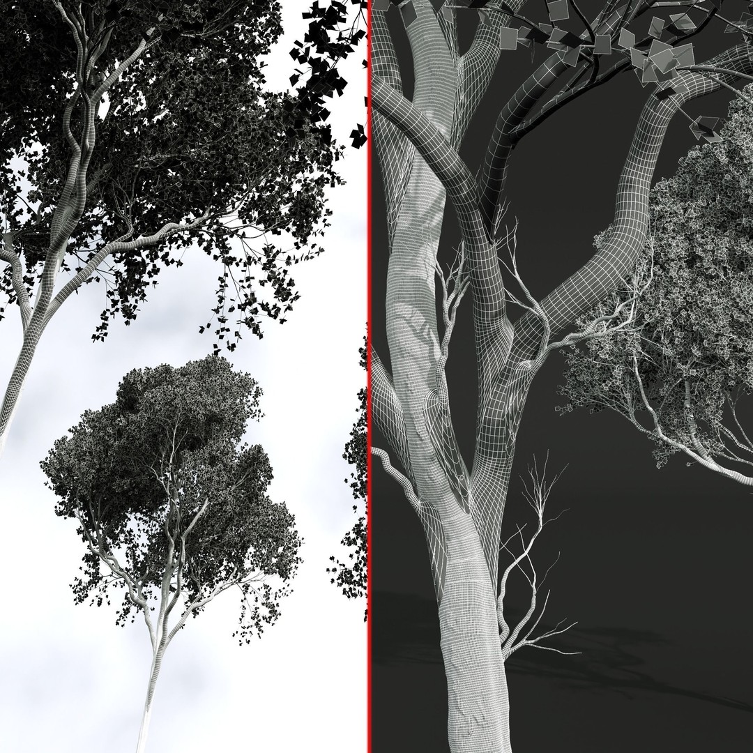 Acer Pseudoplatanus 3D Model – High Poly Spring Trees, FBX, OBJ - View 7