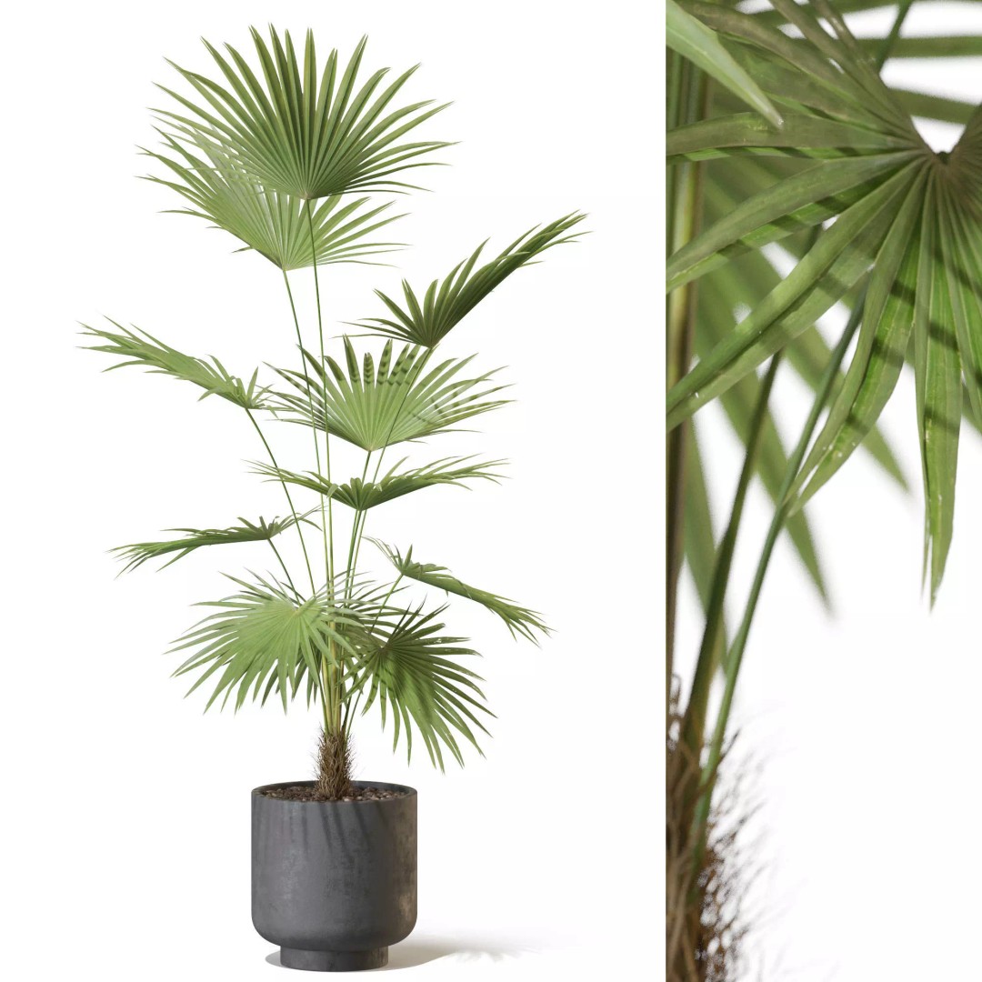 Plant 1327 3D Model – High-Quality PBR Asset for Archviz & Landscaping - View 2