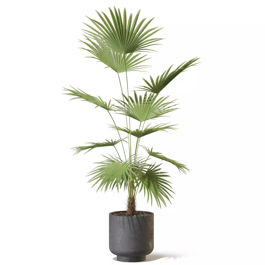 Plant 1327 3D Model – High-Quality PBR Asset for Archviz & Landscaping - View 3