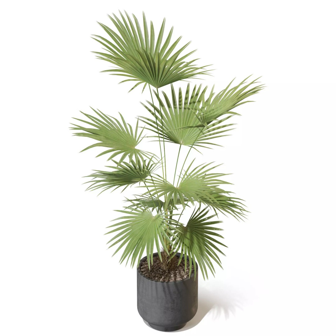 Plant 1327 3D Model – High-Quality PBR Asset for Archviz & Landscaping - View 5