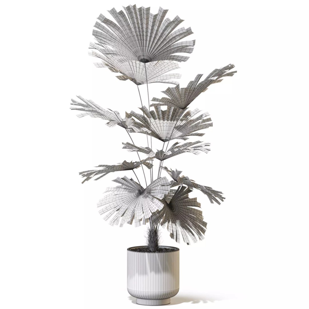 Plant 1327 3D Model – High-Quality PBR Asset for Archviz & Landscaping - View 6