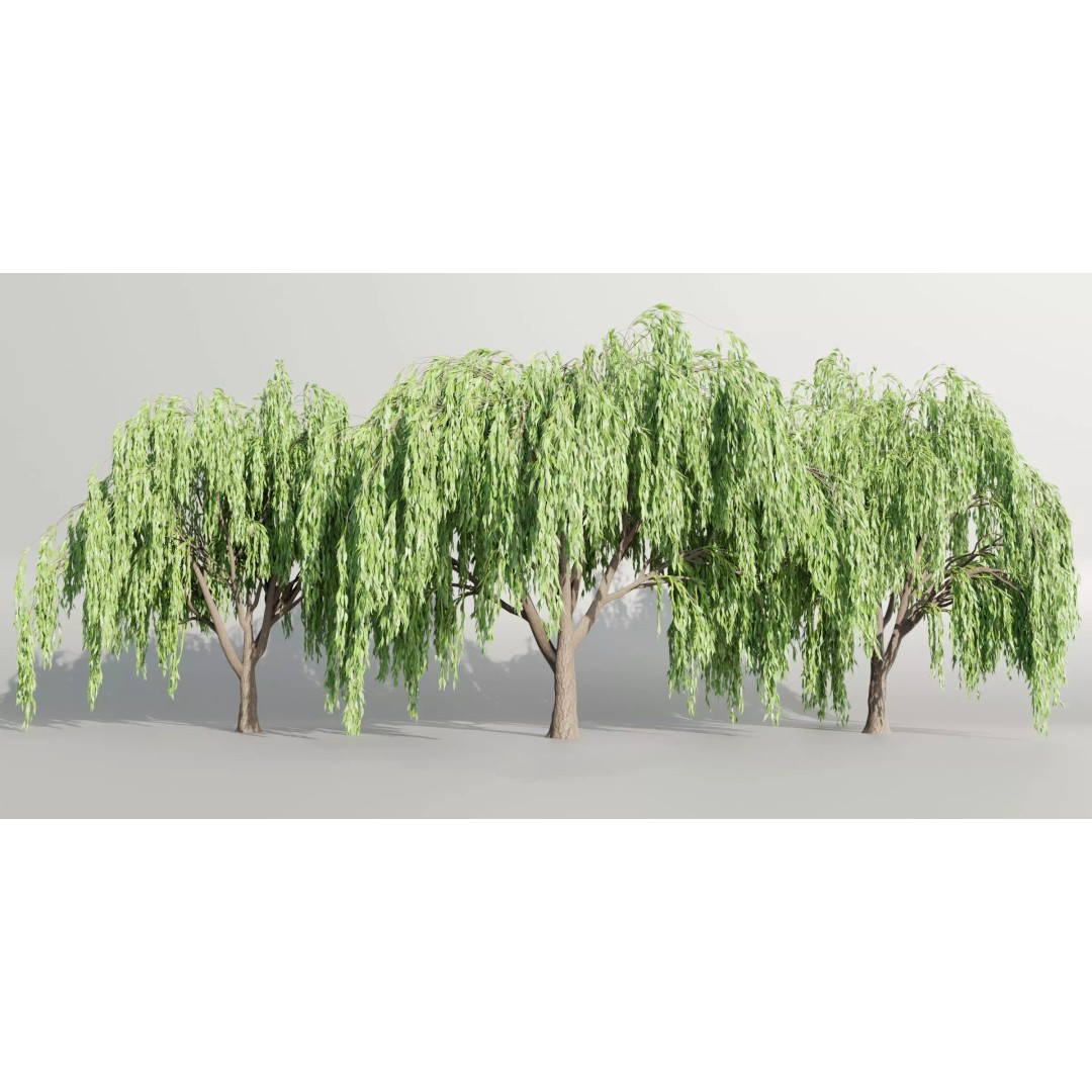 Weeping Willow Trees 3D Model – High Poly Blender Asset, FBX, OBJ - View 2